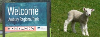 Ambury-Regional-Park