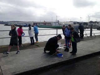 dads crowd fishline